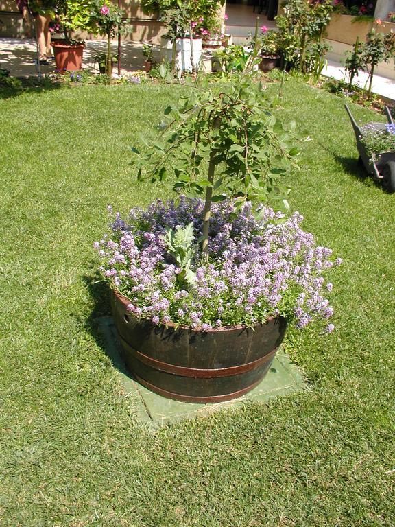 Rooms Vila Mautner Vodice Luaran gambar